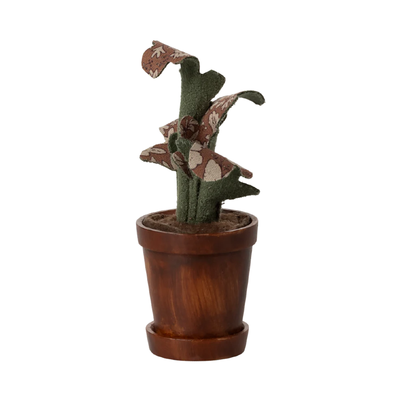 Plante dans son pot