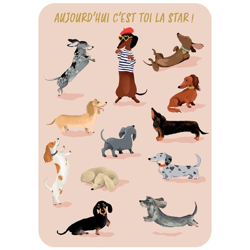 Carte postale Toi la star