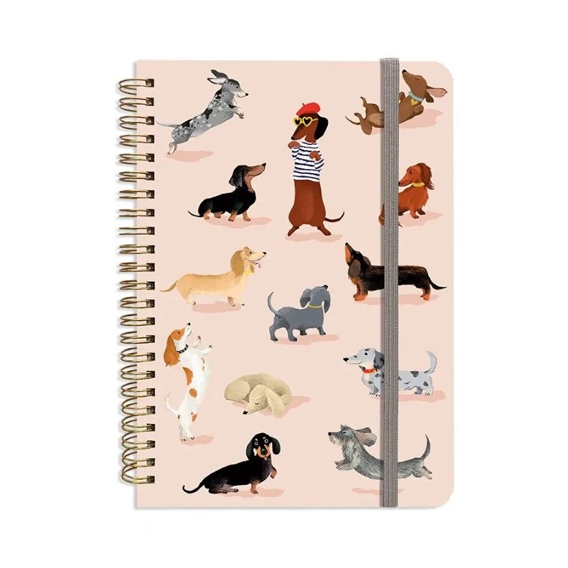 Carnet A5 rigide à spirales...