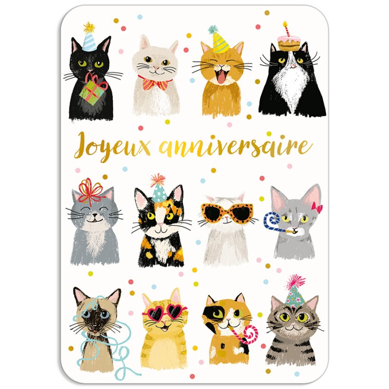 Carte postale - chats...