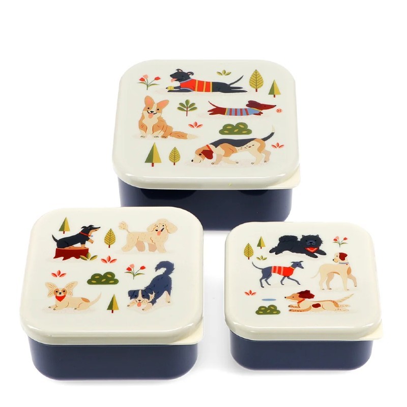 Set de 3 boites - Dog park