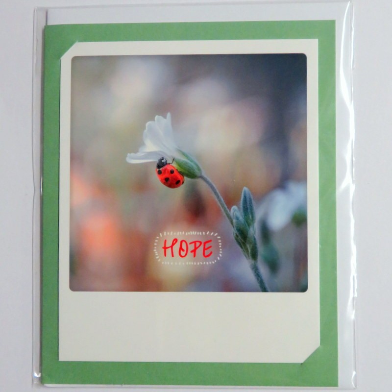 Carte polaroid double Hope...