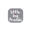 Little Big Friends